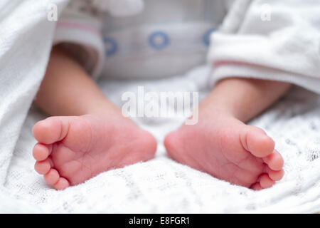 Nahaufnahme eines Babys Füße Stockfoto