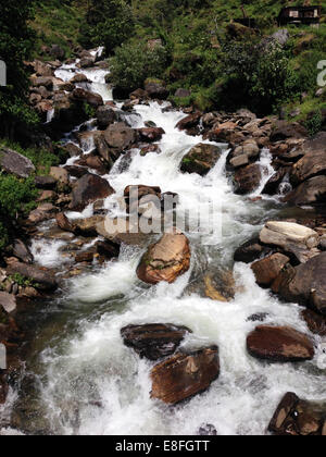Fluss fließt über Felsen Stockfoto