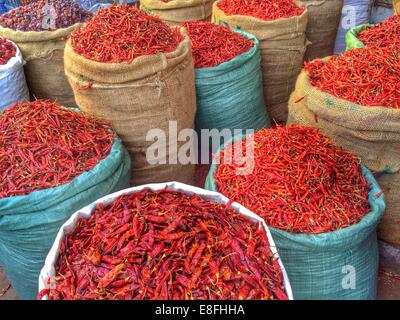 Säcke von Chilischoten auf dem Markt, Indien Stockfoto
