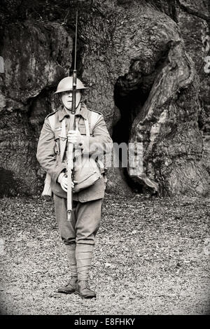 Lebenden Historiker des Manchester Regiment "Geschenke Waffen" - kurze Magazin Lee Enfield Gewehr SMLE Mk III Repetieren & Bajonett Stockfoto