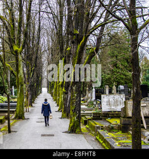 Rückansicht der Frau zu Fuß über Friedhof Stockfoto