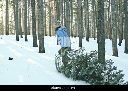 Mann, der einen Weihnachtsbaum durch den Schnee zieht, USA Stockfoto