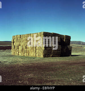 Strohballen auf einem Feld Stockfoto