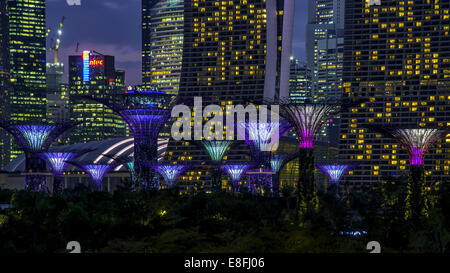 Singapur, Supertrees Gardens Bay bei Nacht Stockfoto