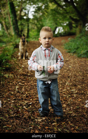 Kleiner Junge In einem Wald Stockfoto