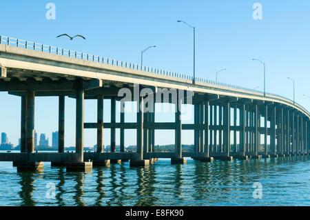 USA, Florida, Biscayne Bay, Möwen fliegen über lange Verkehr Brücke Stockfoto