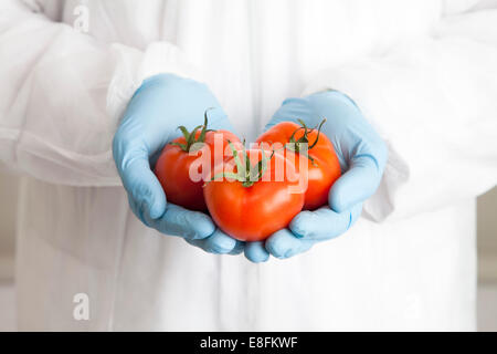 Nahaufnahme der Wissenschaftler mit Tomaten Stockfoto
