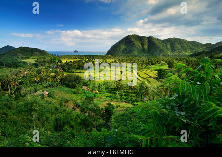 Indonesien, West Nusa Tenggara, erhöhten Blick auf Bauernhof, Meer im Hintergrund Stockfoto