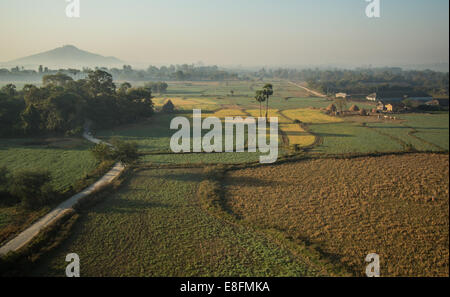 Mandalay, Myanmar bunten Plantagen rund um Mandalay Stockfoto