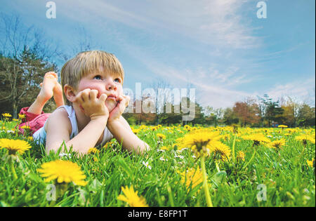 Porträt eines Jungen, der in einer Löwenzahn- und Gänseblümchenwiese liegt, USA Stockfoto