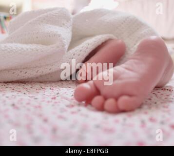 Babymädchen Füße in Nahaufnahme Stockfoto