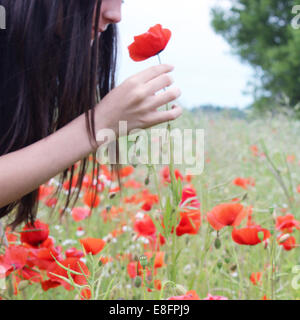 Mädchen riechen Mohnblume Stockfoto