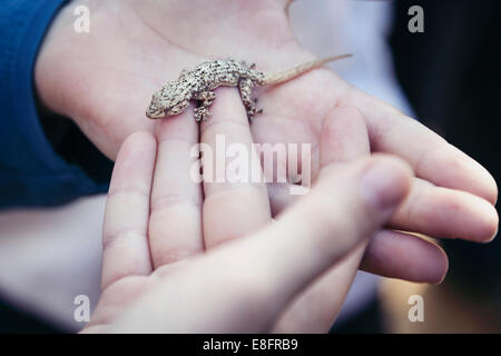 Junge, der einen Gecko in den Händen hält Stockfoto