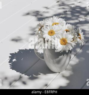 Krug mit riesigen Daisy Blumen auf Holztisch im Sonnenlicht Stockfoto