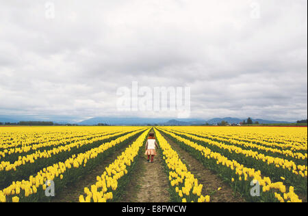 Mädchen, das durch ein Tulpenfeld geht Stockfoto