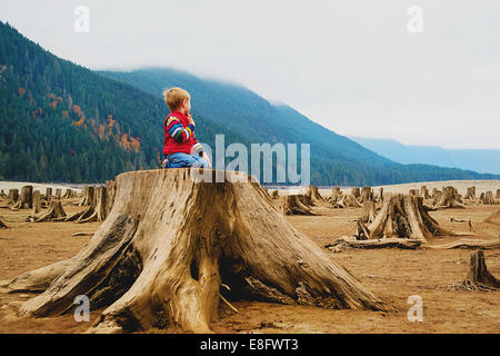 Knien auf Baumstumpf, USA Stockfoto