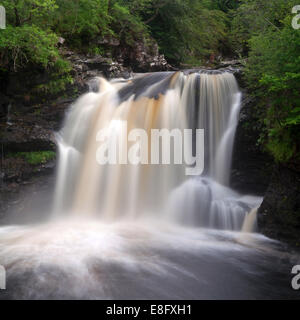 Fällt der Falloch, Crianlarich, Stirling, Schottland Stockfoto