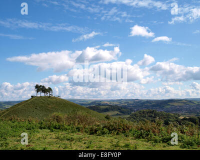 Die Colmer Hill, Symondsbury, Dorset, Großbritannien Stockfoto