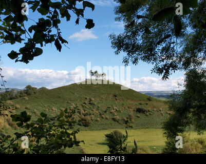 Die Colmer Hill, Symondsbury, Dorset, Großbritannien Stockfoto