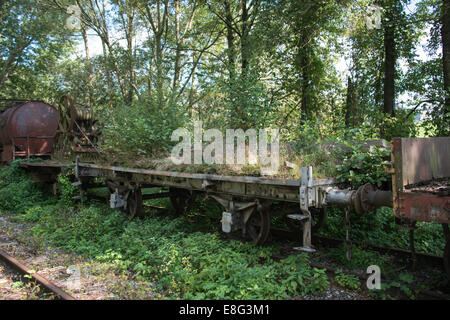 alte verrostete Zug am Bahnhof Hombourg in Belgien mit Pflanzen und Bäumen überwuchert Stockfoto