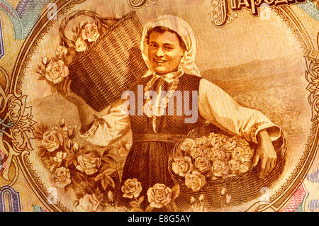 Ausschnitt aus einer der 1950er Jahre bulgarische 50 Lev Banknote zeigt eine Frau Kommissionierung Rosen Stockfoto