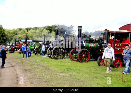 Eine Auswahl von Dampfmaschinen und Rollen bei der Cromford Steam Rally, Tansley nahe Matlock, Derbyshire, England, UK. August 2014 Stockfoto