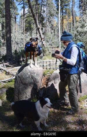 Hunde und Schwester eine Pause auf Wandern Sie von Gregorio See, Jemez Mtns NM - USA Stockfoto