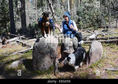 Pausenzeit für meine Schwester und unsere Hunde während auf einer Wanderung. Stockfoto