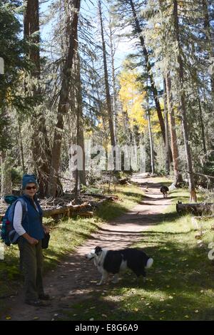 Senioren und Hunde auf Wanderung zurück von Gregorio Lake, New Mexico - USA Stockfoto