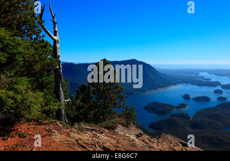 Blick vom Lone Cone Berg Blick auf Meares Island und Clayoquot sound Stockfoto