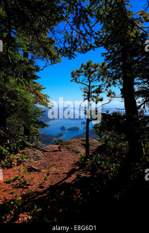 Blick vom Lone Cone Berg Blick auf Meares Island und Clayoquot sound Stockfoto