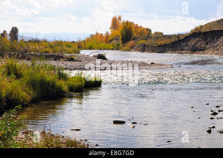 Der Gros Ventre (ˈgrō-ˌvänt)-Fluss fließt vorbei an grasbewachsenen Ufer am hellen Tag im Herbst. Wyoming, USA Stockfoto