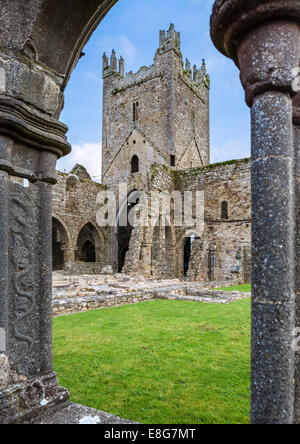 Blick vom Kreuzgang in Jerpoint Abbey, Thomastown, Grafschaft Kilkenny, Irland Stockfoto