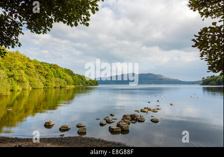 Lough Gill von Hazlewood Forest Recreation Area in den frühen Abendstunden, Sligo, County Sligo, Irland Stockfoto