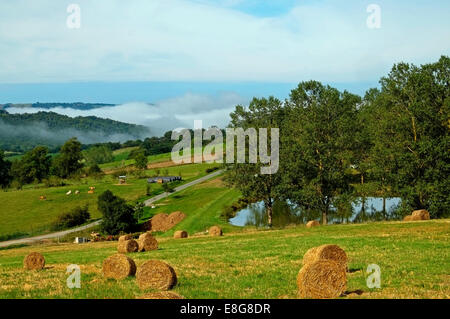 Morgen Nebel St-Martin-Languepie Tarn Aveyron Midi-Pyrenäen Süd-West Frankreich EU Europäische Union Europa Stockfoto