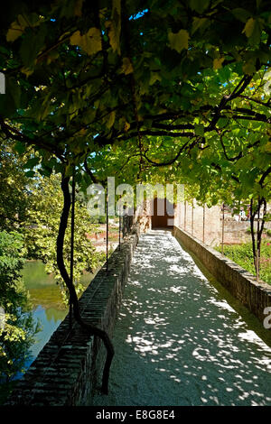 Henri de Toulouse-Lautrec Museum Garden mit Blick auf Fluss Tarn Albi Tarn Abteilung Midi - Pyrenäen Frankreich Südwesteuropa Stockfoto