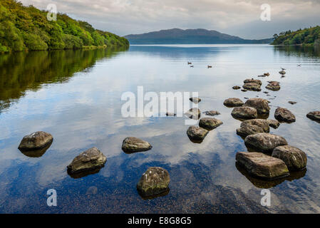 Lough Gill von Hazlewood Forest Recreation Area in den frühen Abendstunden, Sligo, County Sligo, Irland Stockfoto