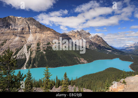 Peyto Lake, einer der schönsten und bekanntesten Seen in Banff Nationalpark, Alberta, Kanada. Stockfoto