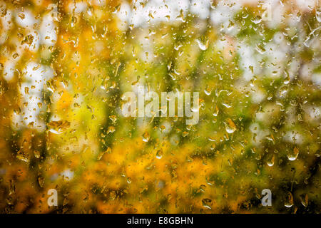 Regentropfen auf schmutzige Fenster mit Fokus Herbst Landschaft im Hintergrund Stockfoto