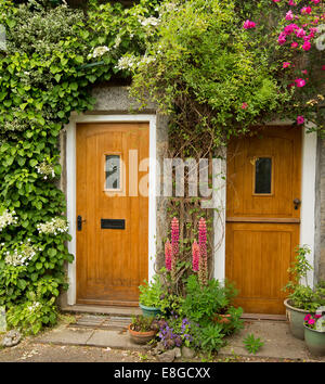 Zwei goldene braune Holzhaus Türen nebeneinander umgeben von Kletterrosen, smaragdgrünes Laub der anderen Bergsteiger, & rote Lupinen & Pflanzen in Behältern Stockfoto