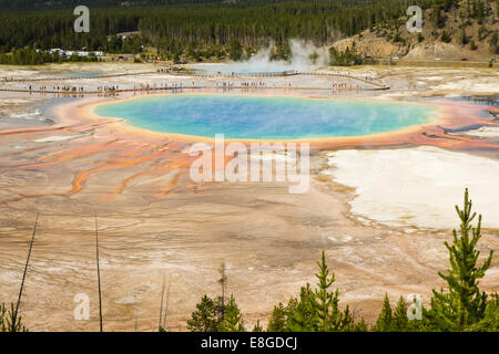 schöne Aussicht aus einem Hang des großen prismatischen Pool im Yellowstone-Nationalpark Stockfoto