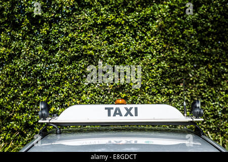 Ein Taxischild auf ein Taxi fotografiert gegen eine grüne Hecke Stockfoto