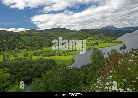 Atemberaubende weite Landschaft der Wildblumen, Loch Tummel, Wälder und fernen Berge von Queens View Lookout Pitlochry Schottland Stockfoto