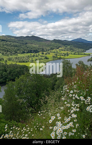 Atemberaubende weite Landschaft der Wildblumen, Loch Tummel, Wälder und fernen Berge von Queens View Lookout Pitlochry Schottland Stockfoto