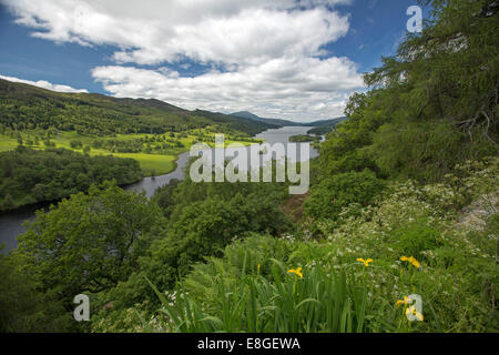 Atemberaubende weite Landschaft der Wildblumen, Loch Tummel, Wälder und fernen Berge von Queens View Lookout Pitlochry Schottland Stockfoto