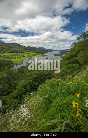 Atemberaubende weite Landschaft der Wildblumen, Loch Tummel, Wälder und fernen Berge von Queens View Lookout Pitlochry Schottland Stockfoto