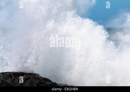 Wave Explosion in Richtung der Kamera an der nördlichen Küste von Jandia in Fuerteventura, Spanien Stockfoto