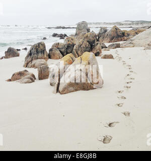 Fußspuren im Sand am Strand Stockfoto