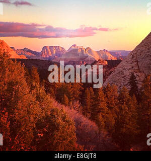 Dramatische Landschaft bei Sonnenuntergang, Zion Nationalpark, Utah, USA Stockfoto