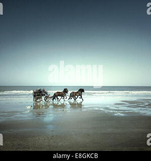 Pferde und Wagen am Strand Stockfoto